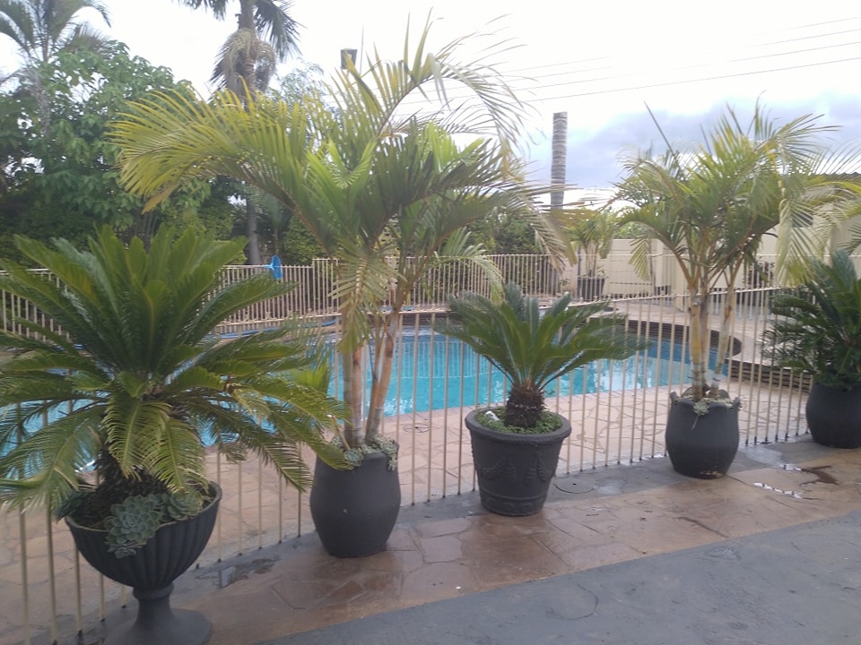 2 Bedroomed Guest Cottage-Ashleys Guest House