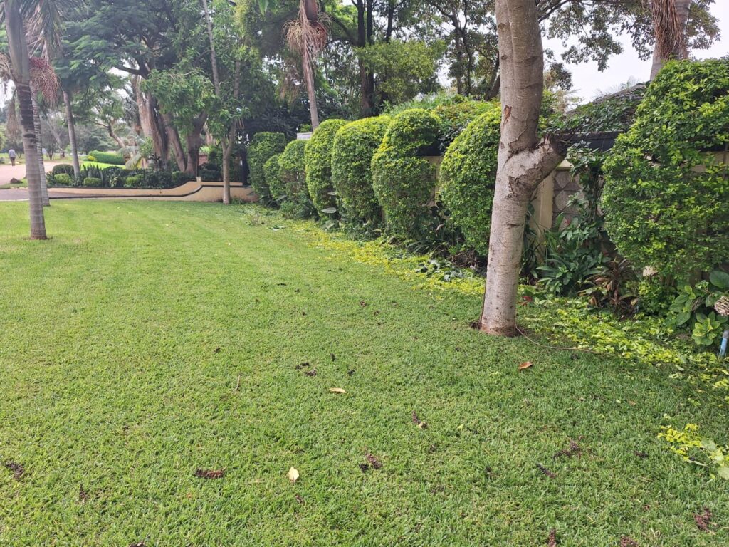 6 Bedroomed apartment - Group Accomodation