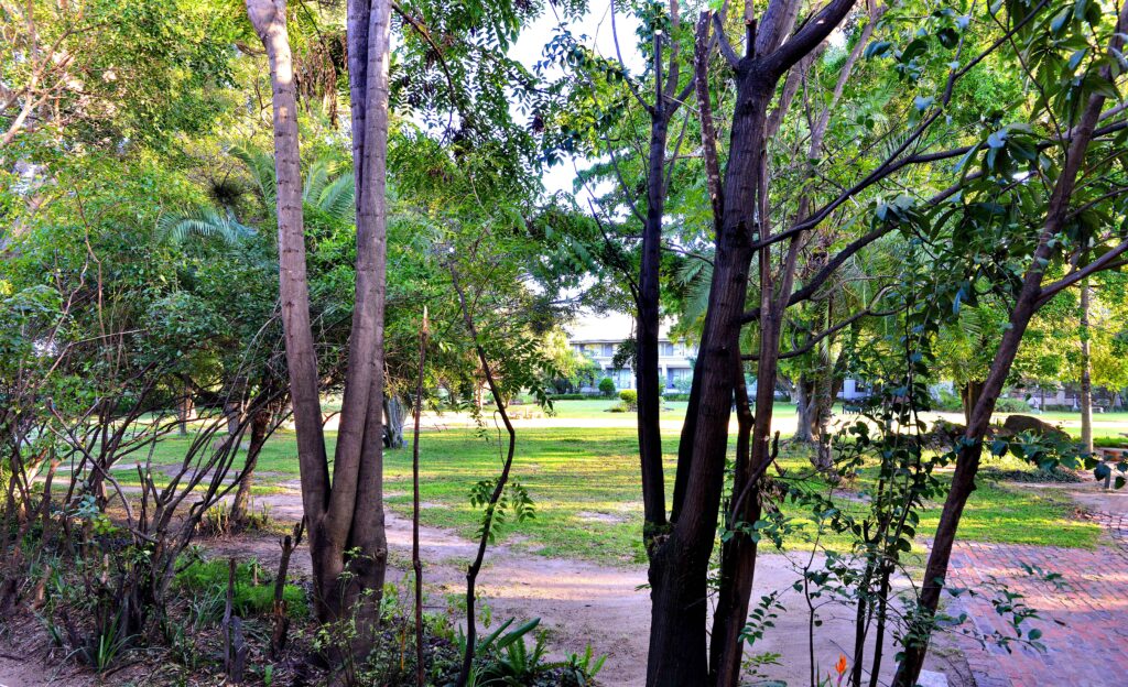 Cresta Lodge Harare- SUITE ROOM (double)