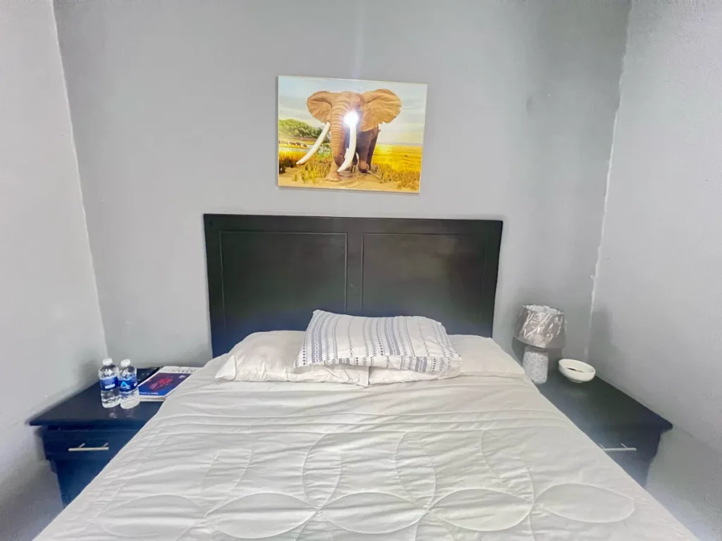 Warthog Guesthouse Standard Room Three