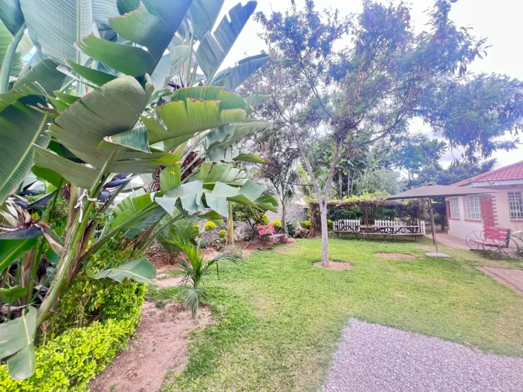 Warthog Guesthouse Ensuit Room One