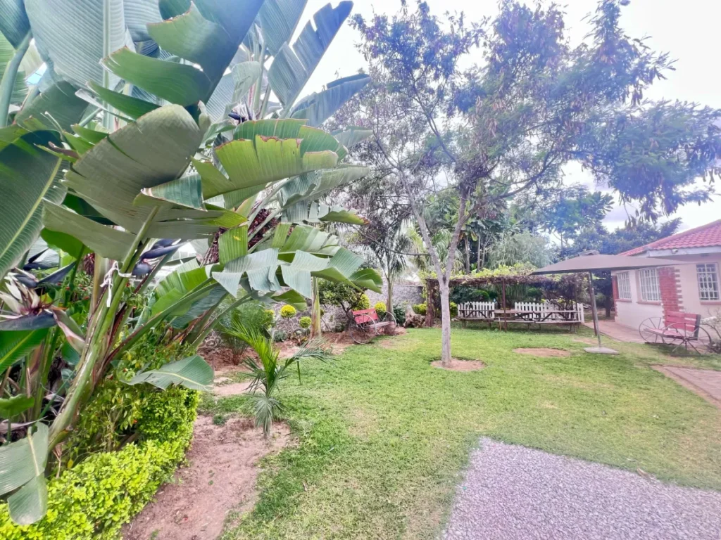 Warthog Guesthouse Ensuit Room One